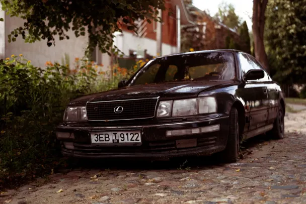 Campo Bet Casino Android/iOS App